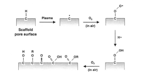 氧等離子體在與材料表面接觸時羥基化、羧基化的示意圖