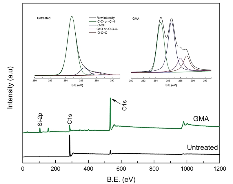 等離子體處理麥秸的測量掃描和高分辨率XPS光譜