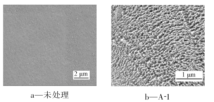 圖3 不同處理工藝導(dǎo)線絕緣層的SEM照片
