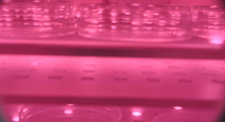 等離子清洗機工藝參數說明